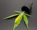 EVOO dropper on hemp leaf.webp