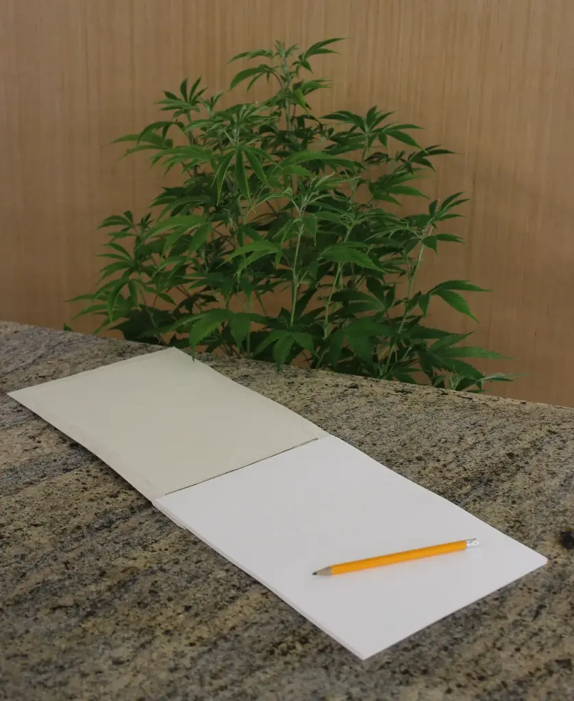 Handmade Sketchbook Hemp Blend Paper - 8.5" x 11"