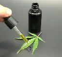 Hemp Infused Organic Olive Oil