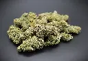 HW CBD Hemp Flower - Jamason Farms Organic 